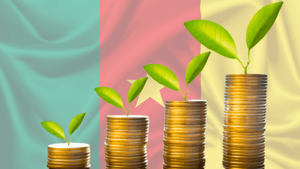 Financement des entreprises au Cameroun