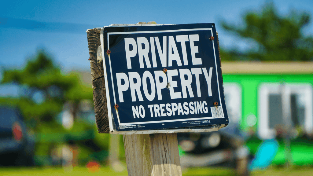 Intellectual Property