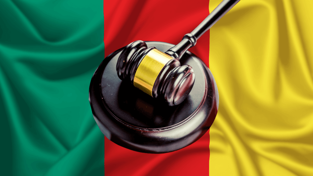 Démarches Administratives et Juridiques au Cameroun